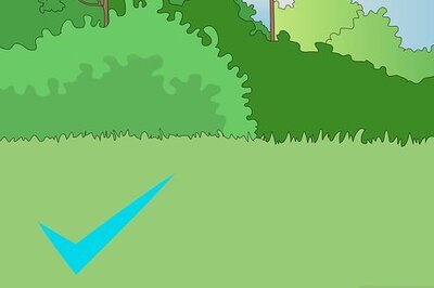 How to Choose Where to Plant Trees