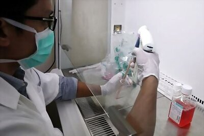 Back from the dead? Stem cells give hope for revival of Malaysia's extinct rhinos