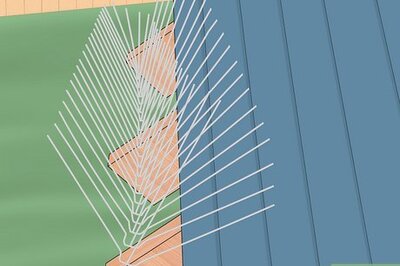 How to Keep Birds from Nesting