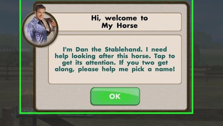 How to Play My Horse