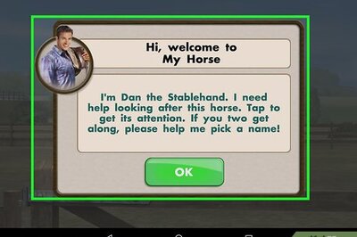 How to Play My Horse