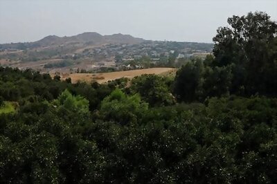 Uncertain Future Keeps California Citrus Grower Awake At Night