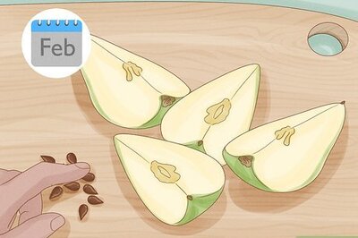 How to Grow Pear Trees from Seed