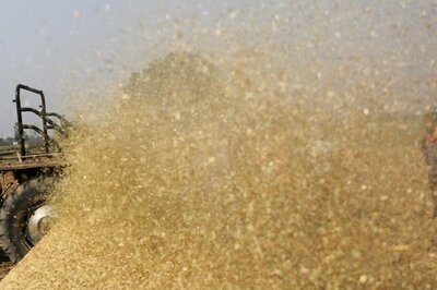 Cabinet Nod for Proposal to Distribute Fortified Rice: How it Will Help Fight India’s Malnutrition Menace