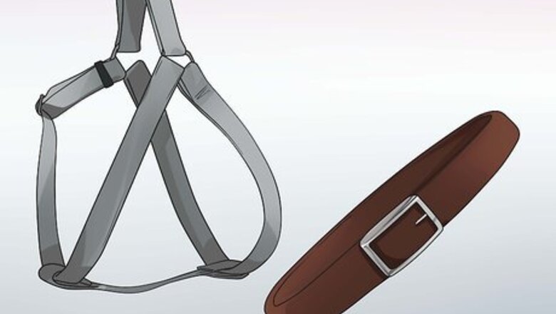 How to Walk Two Dogs at the Same Time on Leashes