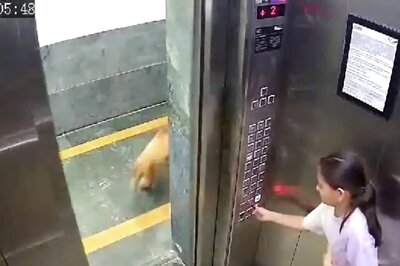 On Cam | Teenage Girl Attacked By Dog In A Noida Housing Society Lift