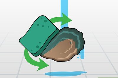 How to Open Oysters
