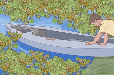 How to Remove Lily Pads