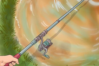 How to Catch a Carp