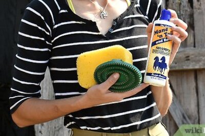 How to Bathe a Horse