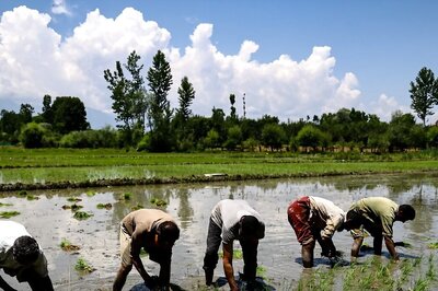 Monsoon Discontent: One-Third of India May Face A Dry Season Despite Excessive Rainfall in Northwest