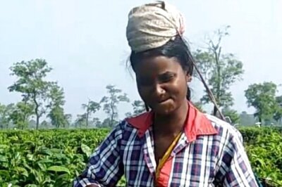 Assam Tea Unfazed by Taliban Trade Impositions: Tea Prices Continue to Slump
