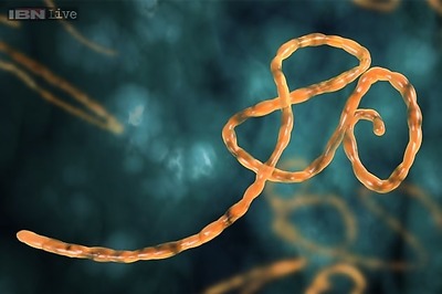 HealthMap: The online tool that flagged Ebola even before the outbreak was announced