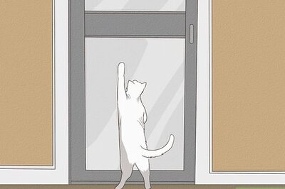 How to Prevent Your Cat from Unrolling Toilet Paper