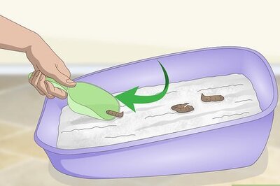 How to Dispose of Cat Litter