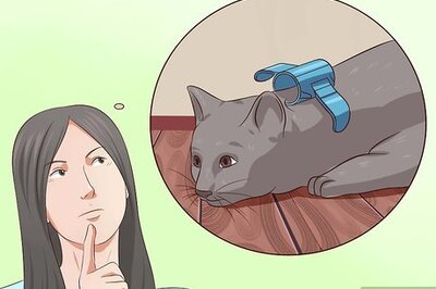 How to Deactivate Your Cat