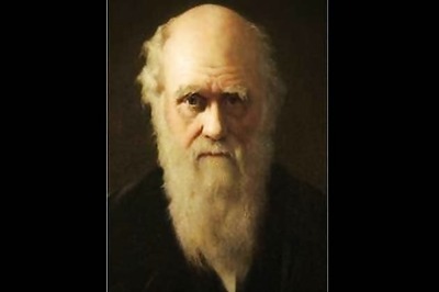 UK scientists find 'lost' Darwin fossils