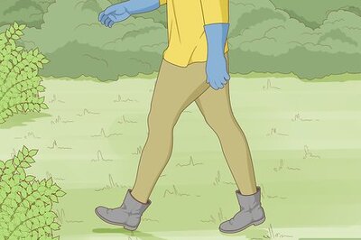 How to Get Rid of Poison Ivy Plants