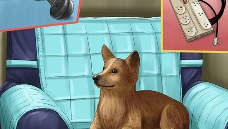 How to Care for a Rescued Dog