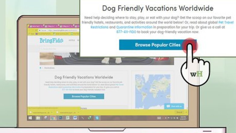 How to Find Pet Friendly Vacation Destinations