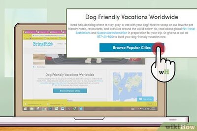How to Find Pet Friendly Vacation Destinations