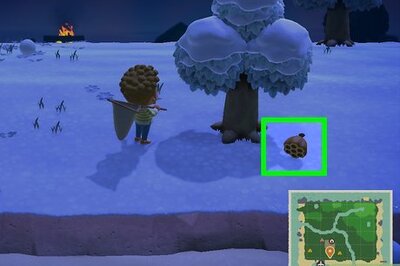 How to Avoid Getting Stung by Wasps in Animal Crossing: New Horizons