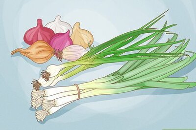 How to Grow Green Onions