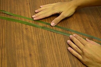 How to Make a Palm Cross