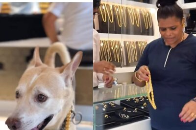 Mumbai Woman Buys Rs 2.5 Lakh Gold Chain For Dog. Don't Believe Us? We Have Proof