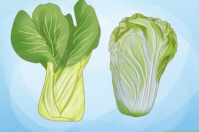 How to Regrow Bok Choy