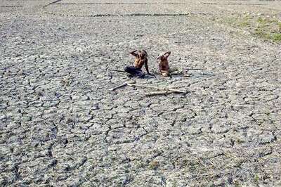 N Korea says it has been hit by worst drought in 100 years