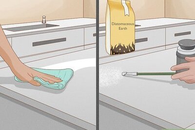 How to Get Rid of Ants Naturally