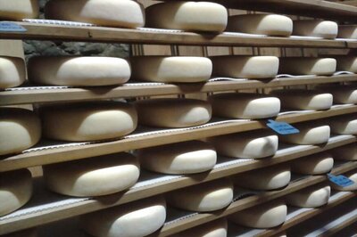 In Spanish Catalonia, A Cheese Maker's Touch Is The Magic