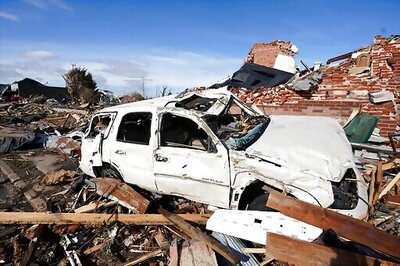 9 Days After Tornado, Cat Found In Rubble Of Building