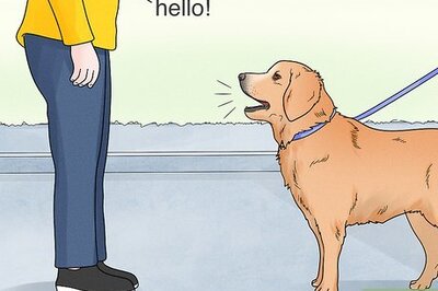 How to Stop Dogs from Barking at People