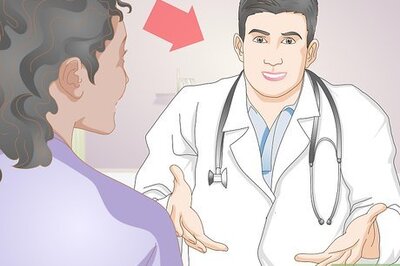 How to Feed a Dog Whole Foods