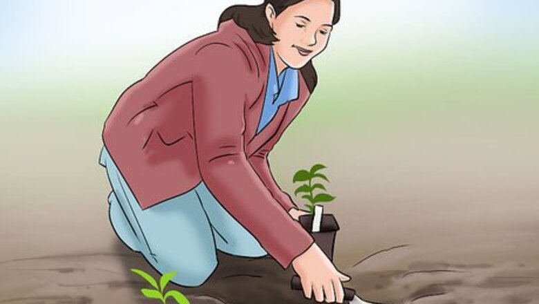 How to Lose Weight Gardening