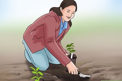 How to Lose Weight Gardening