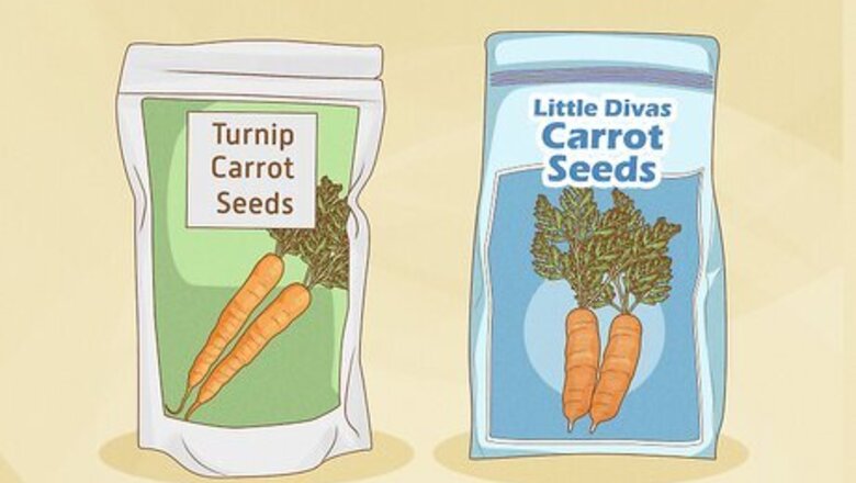 How to Grow Baby Carrots