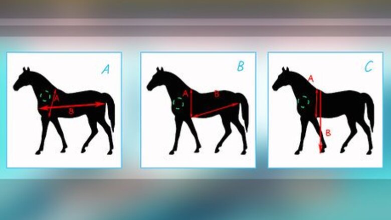 How to Diagnose Parasites in Horses