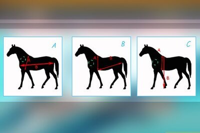 How to Diagnose Parasites in Horses