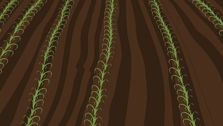 How to Plow With Two Row Cultivators
