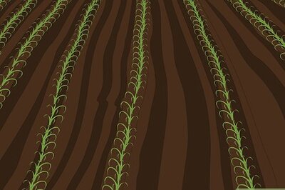 How to Plow With Two Row Cultivators