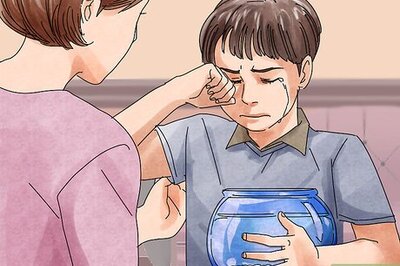 How to Help Your Child When a Pet Dies