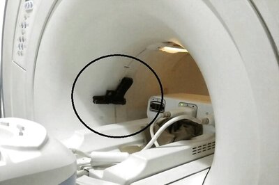 When The Gun Went For an MRI Scan and the Result Thereafter