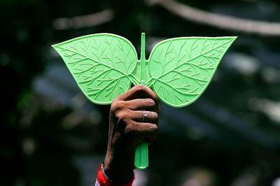 TN Local Body Polls an Alarm Bell for AIADMK as Party Leaders Fear Dent in Vote-share Over CAA