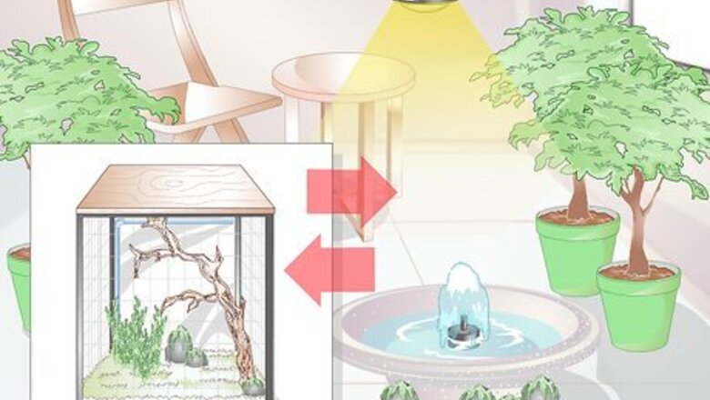 How to Make a Habitat for Your Chameleon