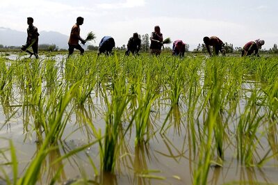 Union Budget 2020: Govt Sets Agri Credit Target at Rs 15 Lakh Crore for FY21