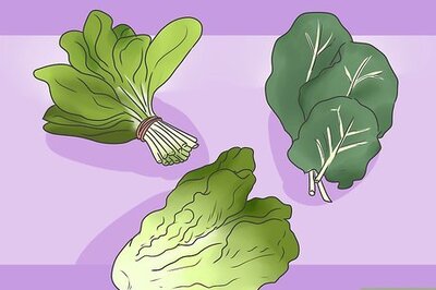 How to Feed Your Rabbit the Right Greens
