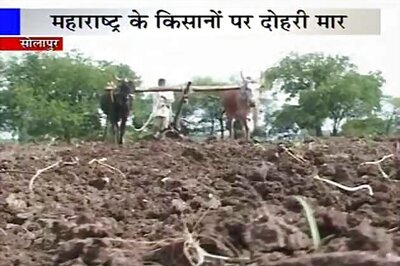 Maharashtra: After drought, farmers complain of poor seed quality